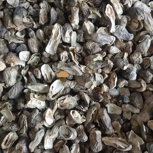 Dehydrated Dried Straw Mushroom Voluariella Volvacea thumbnail-1