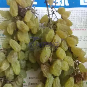 Heat Pump Grapes Dryer Food Dehidrator Machine Groundnuts Pistachio Nuts Drying Machine EPC thumbnail-2