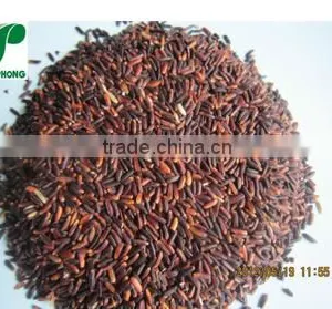 GLUTINOUS RICE thumbnail-1