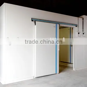 Small Black Garlic Cold Room With Machine thumbnail-1