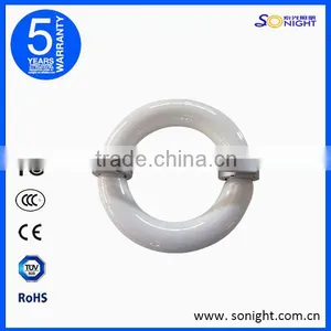 Hot Sale 250w Die-casting Aluminum Induction Street Lights ,5 Years Warranty thumbnail-6
