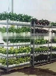 Market Shelf thumbnail-4