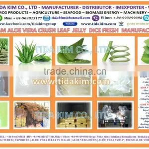 CAULERPA LENTILLIFERA FRESH SEAGRAPES - SEAWEED VIETNAM GREEN CAVIAR OKINAWA DEHYDRATED JAPAN TIDA KIM OEM PRODUCTION SEAFOOD thumbnail-3