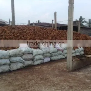 Coconut Shell Charcoal thumbnail-3