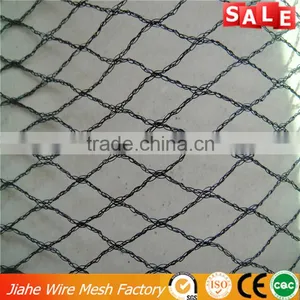 China Factory Bird Net for Fruit Trees,anti-bird Net for Vineyard,agricultural Anti-bird Net thumbnail-1