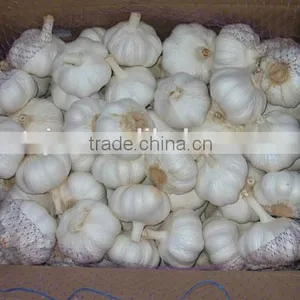 Shangdong Garlic Factory Chinese Garlic Price thumbnail-2