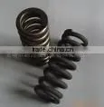 Titanium Spring thumbnail-1