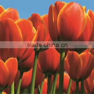 Beautiful Flower Design Colorful UV-print Clear Table Mat thumbnail-1