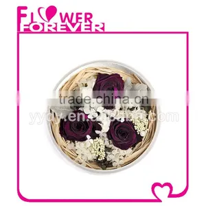 Best Selling Natural Preserved Flower thumbnail-3