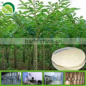 Konjac Extract 90% Glucomannan thumbnail-1