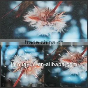 With Texture Photo 3d Laminating Film thumbnail-1