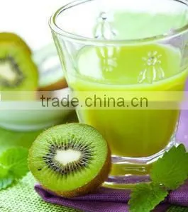 Kiwi Fruit Instant Flavor Drink thumbnail-1