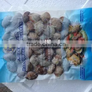 Hot Sale Frozen Shell Whole Baby Clam thumbnail-2