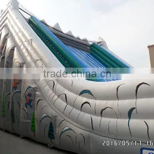EXCITING INFLATABLE DRY SLIDE HIGH CHALLENGE thumbnail-6