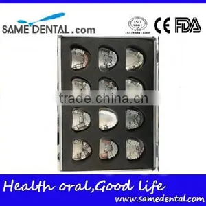Integrated Denture Model Teaching Demonstration thumbnail-5