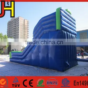 Blue Cat Outdoor Water Slide Inflatable Garden Water Slides For Parties thumbnail-3