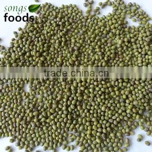 Export Green Mung Beans From China thumbnail-2