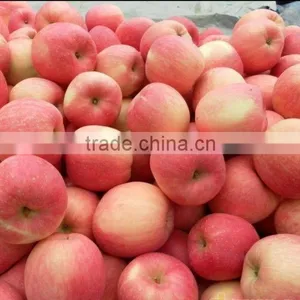 Chinese Good Quanlity Delicious Fresh Appl thumbnail-3