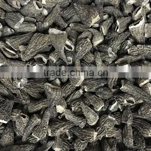Dried Morels/morchella Conica SPECIAL GRADE thumbnail-3
