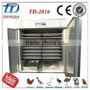 TD-2816 Full Automatic Egg Incubator thumbnail-1