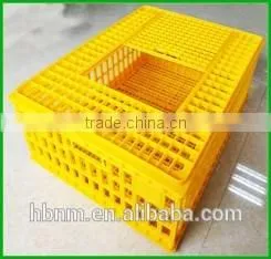 2016 Cost-effictive Good Quality Plastic Transport Chicken Crate/cage for Sale thumbnail-1