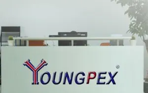 Youngpex company overview - view 1 thumbnail