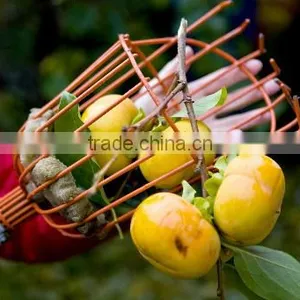 2016Hot Sell High Quality Adjustment Manual Fruit Picking Basket Fruit Picker thumbnail-4