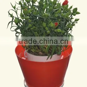 SMART FLOWER POT thumbnail-3