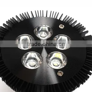 Hot Sales in USA Europe 24w 12w 15W 21W 27W 45W 54W E27 Led Garden Light PAR38 Led Grow Light thumbnail-2