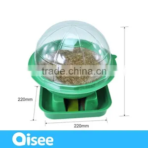 2016 New Product Plants Indoor Kit Kids Toys thumbnail-3