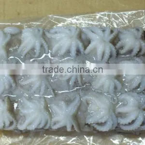 FRESH FROZEN BABY OCTOPUS FROM ALO SEAFOOD Co., thumbnail-3