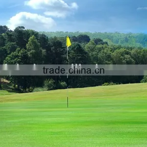 Lightweight And Beautiful Fiberglass Golf Flag Pole thumbnail-1