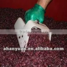 25% ,5%resveratrol Natural Plant Extract Grape Skin Extract (GMP,cGMP) thumbnail-1