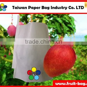 TPBI Taiwan High Quality Fruit Cover Mango Protection Growing Bag thumbnail-1