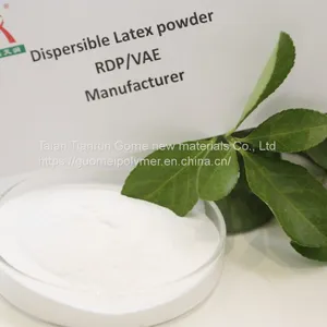 Dispersible Polymer Powder(RDP) thumbnail-1