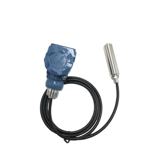 Differential Pressure Transmitter for Water, Oil and Air Level Measurement thumbnail-1
