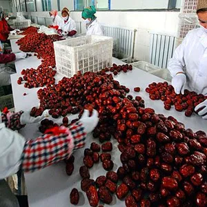 Arabic Date Honey Production Line / Jujube Syrup Processing Line / Date Syrup Making Equipment thumbnail-4