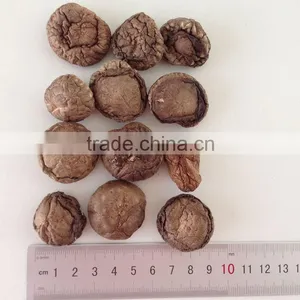 Polish Wild Dried Mushrooms thumbnail-2