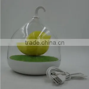 Rechargeable 4 SMD LED Bird Cage USB Night Light thumbnail-5