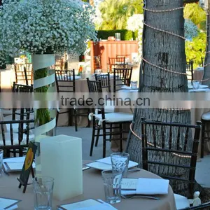 Weeding/banquet/party Use Fruitwood Chiavari Chair thumbnail-3