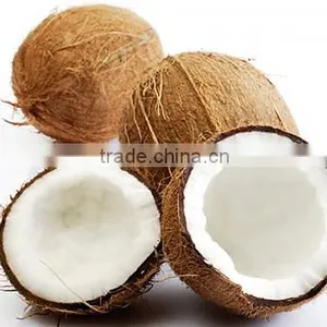 TASTY FROZEN SHREDDED COCONUT - VIET NAM - BEST FRICE thumbnail-3