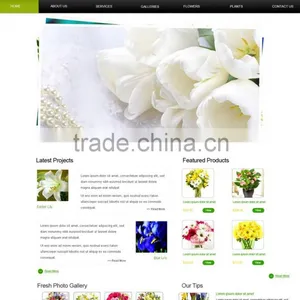 Online Shopping Cart Ecommerce Website Deisgn thumbnail-1