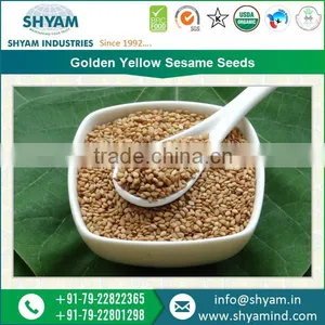 Highly Nutritious Top Rated Sesame Seeds Dealers thumbnail-2