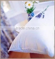 White Polyester Pillow Inner, Hotel Pillow Inner, Home Pillow Inner thumbnail-1