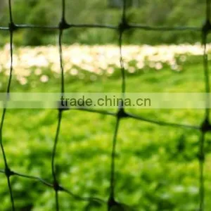Manufacture of Poultry Netting /plastic Chicken Netting thumbnail-4