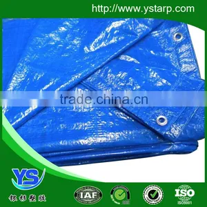 Plastic Sheet Waterproof Tarpaulin Sheet thumbnail-4