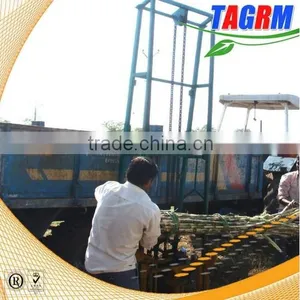 SL5 Small Size Sugarcane Loader for Sale/ Sugarcane Loading Machine From TAGRM thumbnail-1