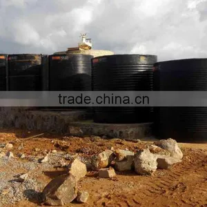 CIL and CIP Process Plants for Gold Mining in Tanzania thumbnail-5
