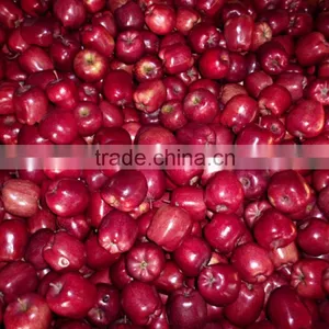 Export Red Delicious Apple Company thumbnail-5