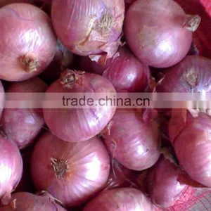 Fresh Onion/fresh Red Onion/yellow Onion thumbnail-1